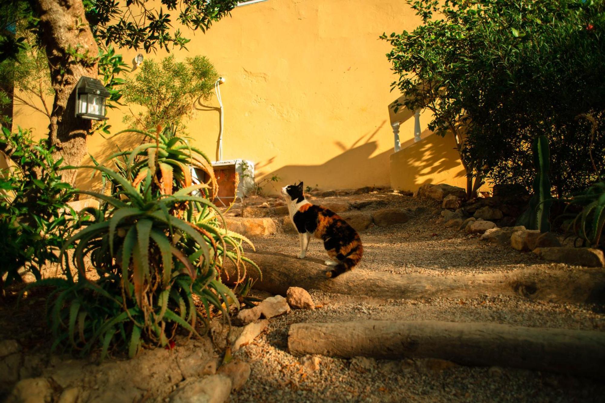 Easy Going Imsouane Bed & Breakfast Exterior foto